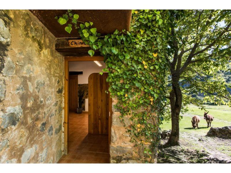 Casas Rurales Molinias Fosado Buitenkant foto
